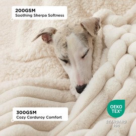 Bedsure Waterproof Dog Blankets for Medium Dogs - Soft Puppy Cat Blanket Corduroy Fleece Washable, Cozy Calming Reversible Furniture Protection for Pet Kitten Doggy,30"x40", Cream