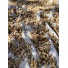 mimosa Dried Silk Mimosa Tree Pink Flowers Leafs Tea Tincture