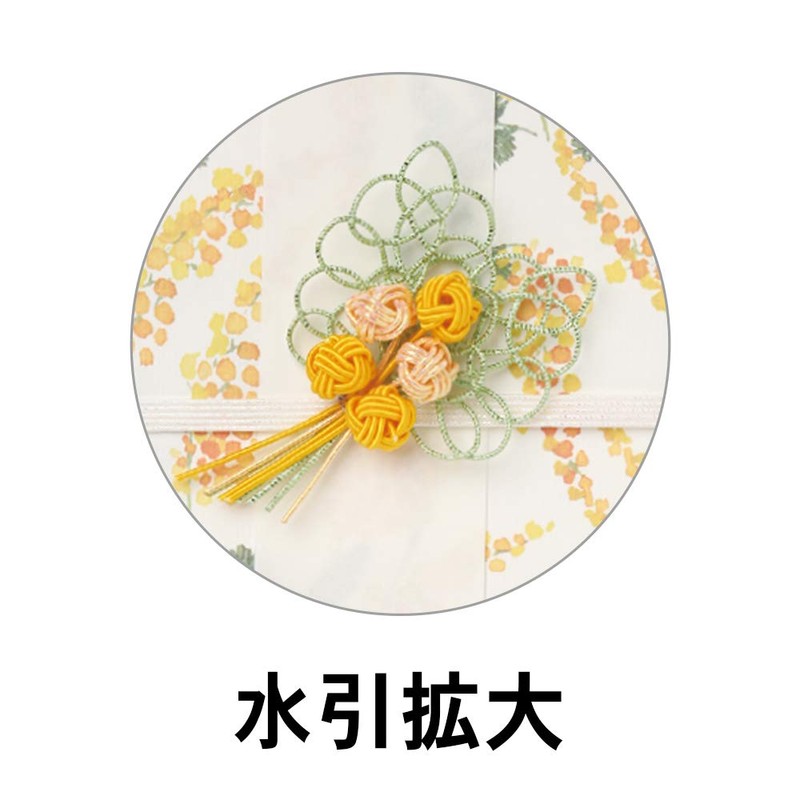 Wrap Celebration Bag, Fleur Mimosa T-4598