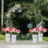 Zerdyne 6 Pack Flower Buckets for Cut Flowers, 12 Inch