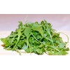 Arugula Seeds -"Slow Bolt" - aka Roquette - Heirloom -