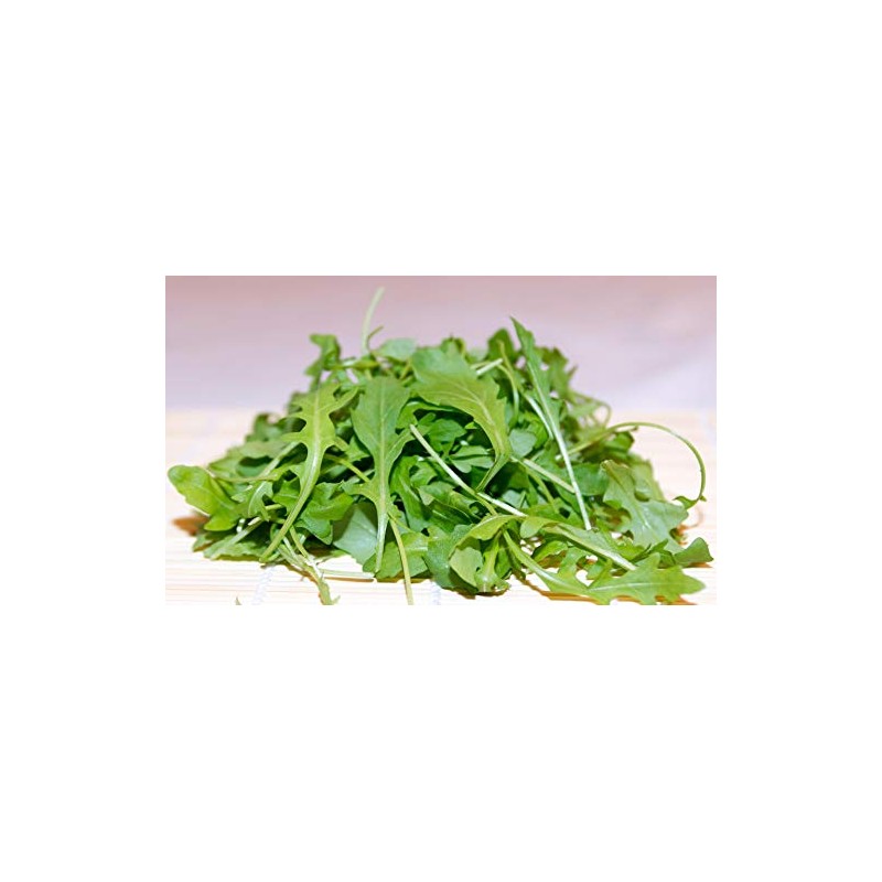 Arugula Seeds -"Slow Bolt" - aka Roquette - Heirloom -