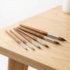 houlishu 6 Pcs Watercolor Brushes Set - Extended Needle Point