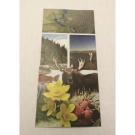 Alagnak Wild River National Park Unigrid Brochure Map NPS Alaska