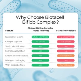 Biotacell Bifido Complex (30 Capsules) | 12 Billion CFU | 6 Bifidobacterium Strains with Acacia Fibre | Bloating & Digestive Support Probiotics for Women & Men | Prebiotics Gut Health Supplements