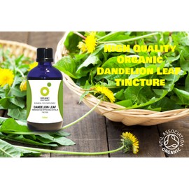 Organic Herbal Remedies 100ml Dandelion Leaf Tincture