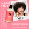 Camille Rose Guava Slip Detangling Shampoo, with Guava, Kakadu Plum
