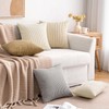MIULEE Pack of 2 Corduroy Soft Solid Decorative Square Throw