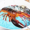 Hiawbon 13 Inch Realistic Lobster Figure - Plastic Lobster Figurine