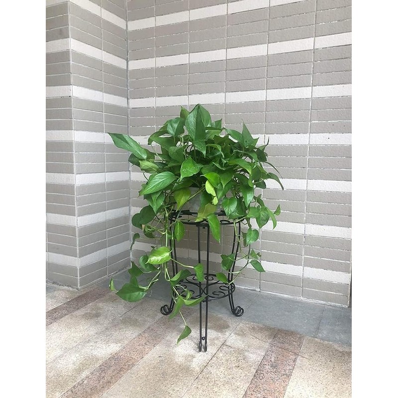 11.8 inches Diameter Tall Metal Plant Stand for Indoor or