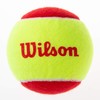 Wilson WRT137001 Tennis Ball, Sponge Ball, Starter Red, Pack of