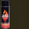 Stove Bright High Temp Spray Paint, Metallic, Up To 1200