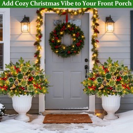 2 Pack 24" Lighted Outdoor Christmas Tree Urn Fillers Holiday Planters with Timer 8 Mode Warm & Colorful Light 6 Style Branches Eucalyptus Pinecones Red Berries Tripod Stake Front Porch Indoor Decor