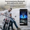 Bajaj Mica Protectora Dominar 400 / 250 Ppf Transparente