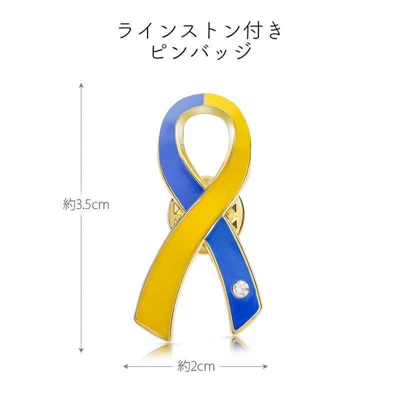 AWARENESS RIBBON Pin Badge SDGs Awareness Ribbon Large Badge, Zinc