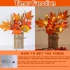 [2-Style & Light Timer] 2 Pack 13 Inch Fall Decor