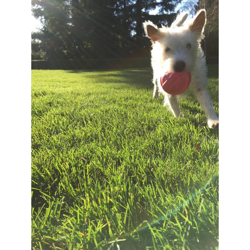 complete home new complete home Dual Outlet 24 Hour Timer