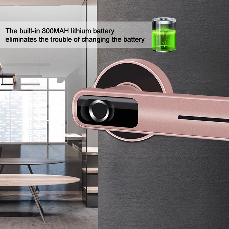 Indoor Smart Biometric Fingerprint Aluminium Alloy Security Electronic Door LockRight