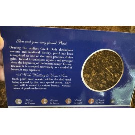 Dong Hui NEW ~ DONG HUI ~ GENUINE PEARL IN OYSTER ~ CAGE PENDANT NECKLACE ~ new in box