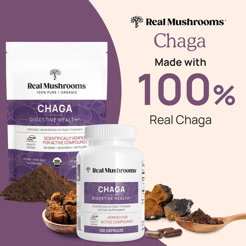 Real Mushrooms Chaga Mushroom Capsules – Organic Chaga Extract Powder