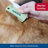 Coastal Pet Safari Double-Sided Grooming Comb - One Size Short