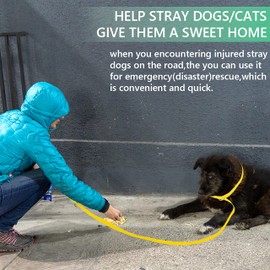 PETPMEEE 12 Pcs Slip Lead Dog Leash, 6 FT Short Dog Leash with O-ring for Walking Rescues Training Running Grooming Shelter, Strong Dog Leashes Control Small Meidum Large Dogs/Puppy