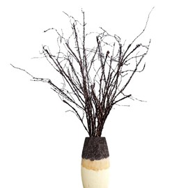 Eiyye 10PCS Curly Willow Branches for Vase Decor Artificial Twig Plants Bendable Branches Tree Branches for Home Garden Office Hotel Decor(Brown)