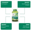 Colours Of Life Colours of Life Bio Chlorella - Integratore