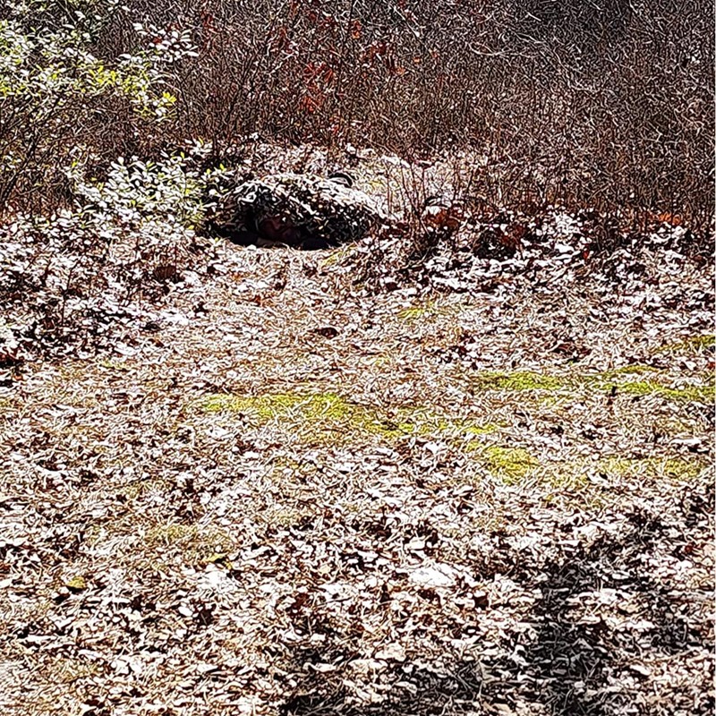 LOOGU Camo Netting, Camouflage Net Blinds Great for Sunshade Camping
