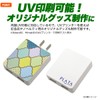 Plata USB Charging AC Adapter, 2 Ports, 1,000 mA, PSE-mark Acquired,