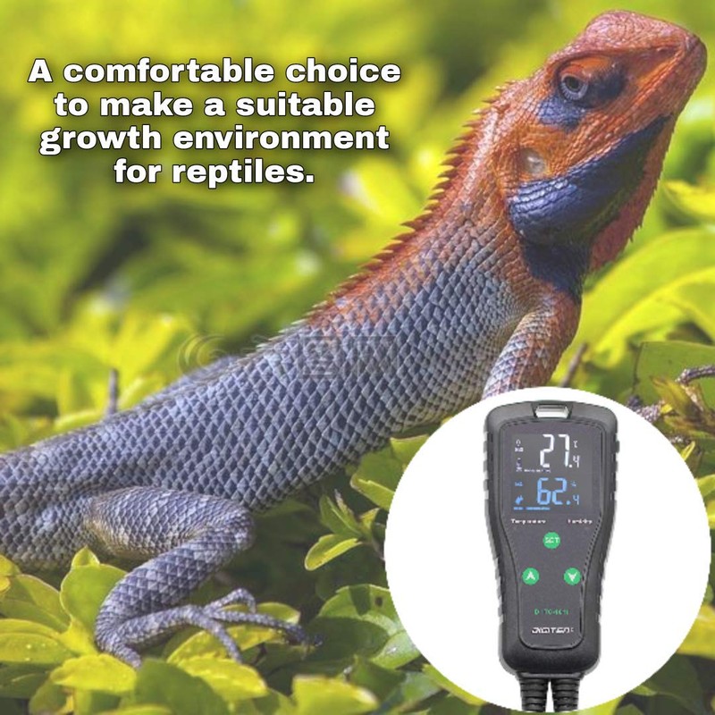 Temperature and Humidity Controller Outlet Plug-in Thermostat Humidistat Reptile Humidity