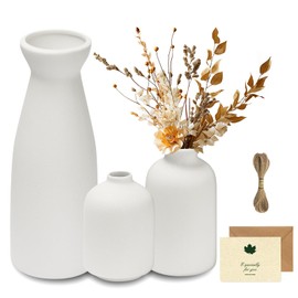 UCAMP Ceramic Vase Set of 3, White Unique Small Ceramic Flower Vases, Pampas Grass & Dried Flowers, Modern Home Decoration, Suitable for Fireplace, Bedroom, Kitchen, Living Room, Desk