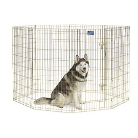 MidWest Homes for Pets Folding Metal Dog Exercise Pen, Indoor/Outdoor Playpen with Door, 16 Sq Feet of Play Space, 48-Inches Tall, Gold Zinc