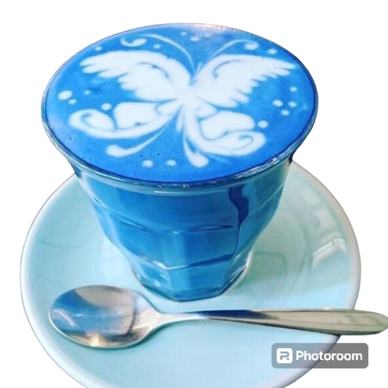 DR T&T E-6 Grade Blue Spirulina Powder 100% Natural Phycocyanin