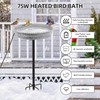 Feemiyo Heated Bird Bath for Outdoors for Winter, 75W Bird