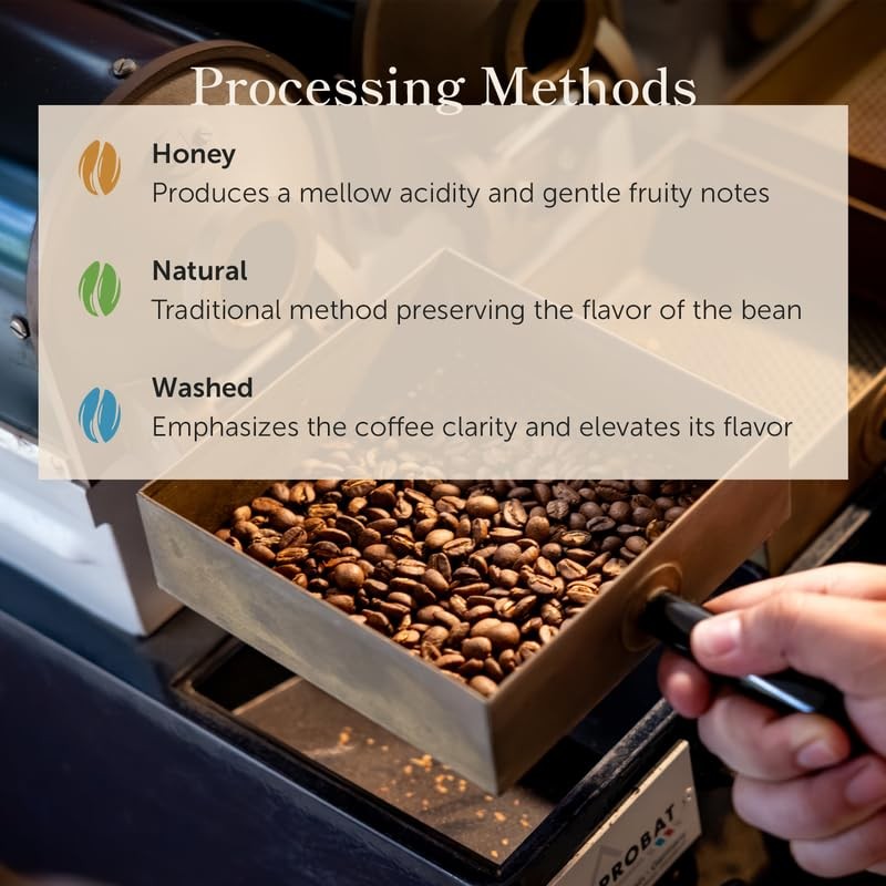 Bean of Fire El Salvador Red Bourbon Honey Ground Coffee