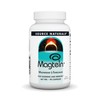 Source Naturals Source Naturals Magtein Magnesium L-Threonate 667mg Supports Focus,
