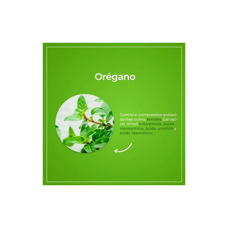 Aceite De Orégano (Uso interno y dermatológico) Min. 80 de