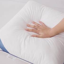 Atarashi 16 x 16 Outdoor Pillow Inserts(Set of 2) - Waterproof Decorative Square Throw Pillows for Couch Sofa Bed Patio Furniture, Garden & Patio, White 16x16 inch