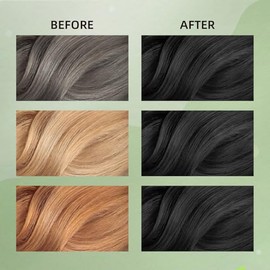 Champú Tinte para Cabello Negro, Champú Semipermanente para El Cabello para Mujeres y Hombres, Ingredientes A Base de Hierbas y Sin Amoniaco, 3 En 1-1