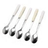 SimpleLife Ceramic Handle Spoon Stainless Steel Teaspoons | Rust Resistant