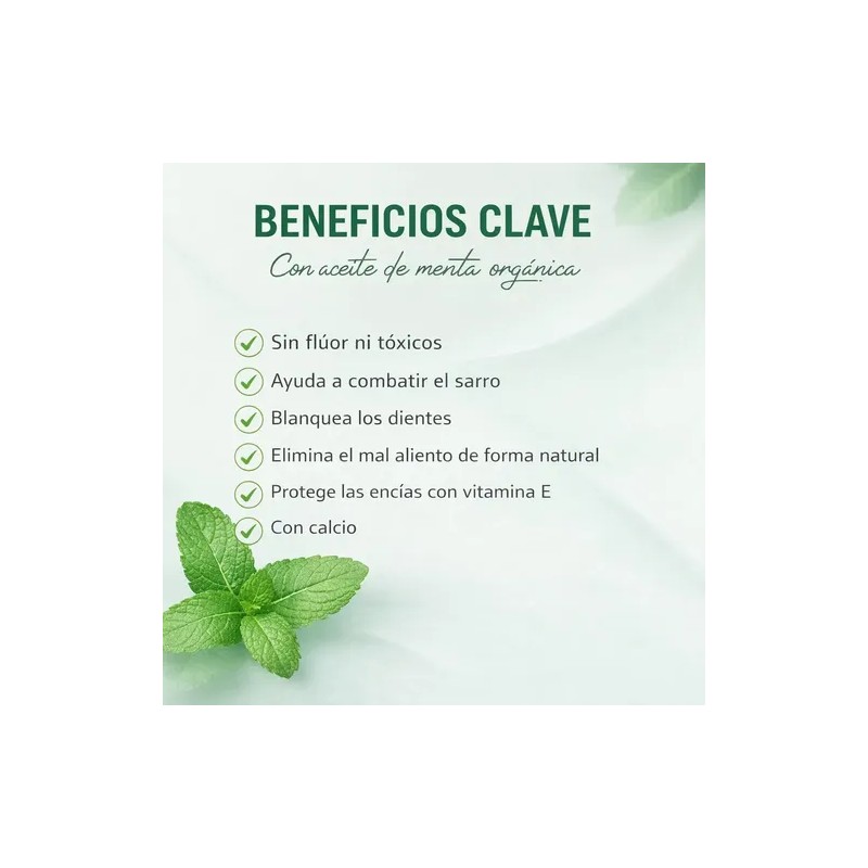 Set 3 Pastas Dental Menta Orgánica Sin Fluoruro 100g Natshop