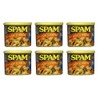 Spam 25% Less Sodium Than Spam Classic: 6 Packs of