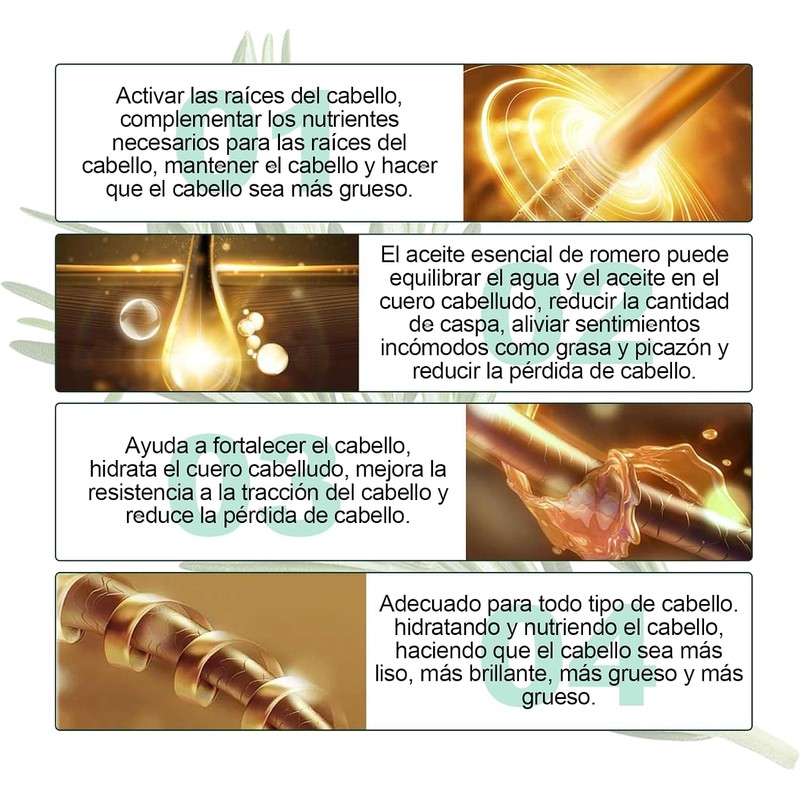Aceite De Romero：Aceite de Romero para El Cabello-100%, Aceite Esencial