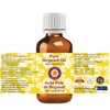 Deve Herbes Pure Nirgundi Oil (Vitex negundo Linn) Non-Sticky |