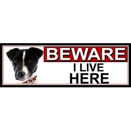 SHAWPRINT Jack Russell BEWARE I LIVE HERE METAL GATE SIGN 266mm x 87m. (465H2)