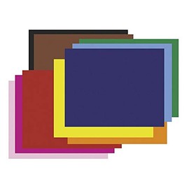 Riverside Paper 54871 Colored 4-ply Poster Board, 22 x 28, 5 Assorted Colors, 25 Boards/Carton