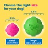 Hartz DuraPlay Bacon Scented Dog Toys, Large 1 Count, Colors
