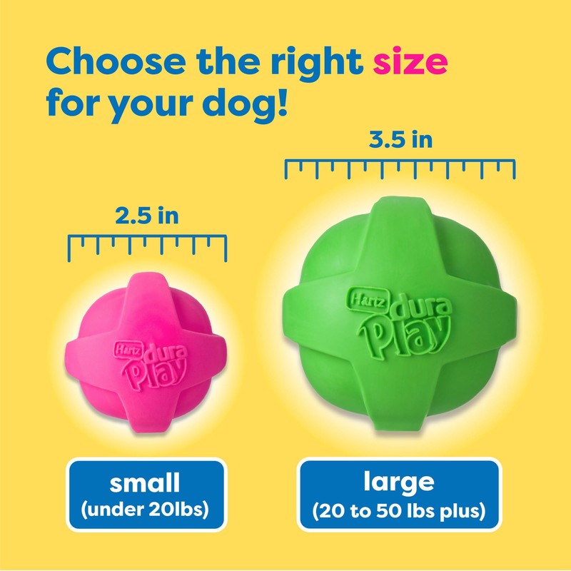 Hartz DuraPlay Bacon Scented Dog Toys, Large 1 Count, Colors