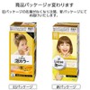 Liese Prettia Bubble Color Hair Dye